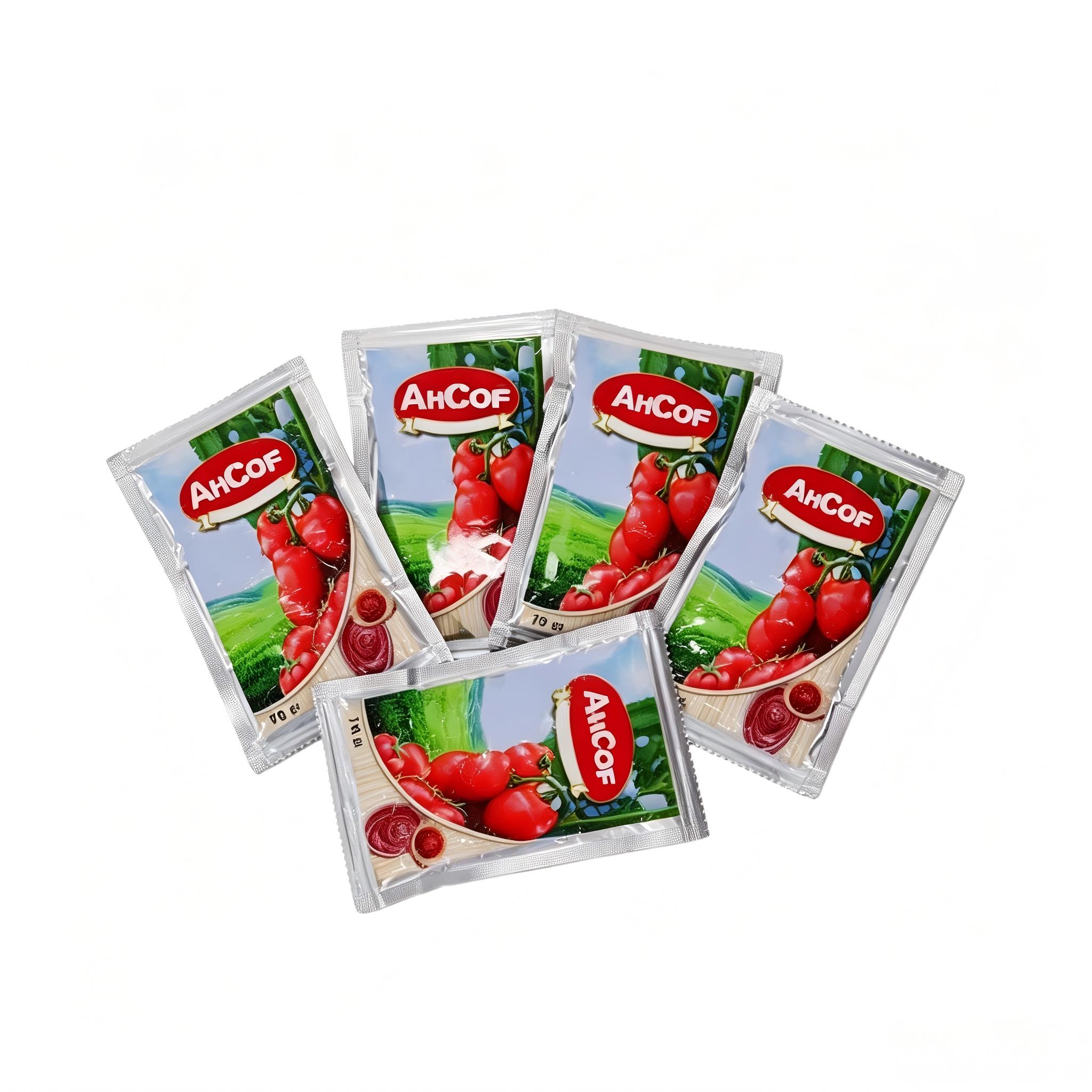 Pasta Tomat Kemasan Sachet Grosir 70g | Pasta Tomat Murni untuk Pasar Global